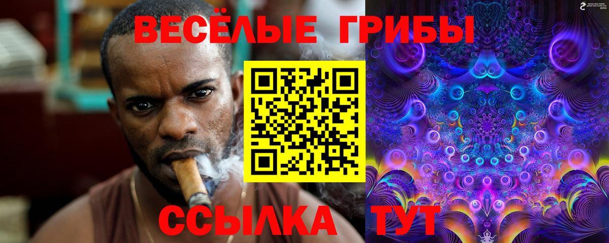 Псилоцибиновые грибы прущие грибы  Вход с VPN  Заинск 