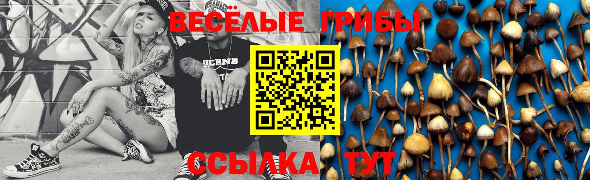Псилоцибиновые грибы Psilocybine cubensis Заинск